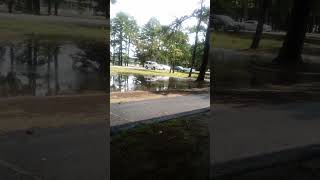 Download lagu after the havey rains (5) mp3