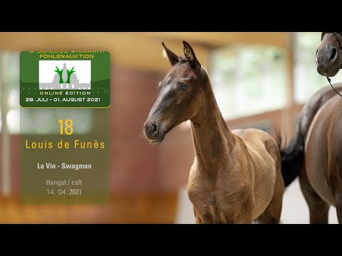 Fohlenauktion 28.7. - 01.8.2021 Katalog-Nr. 18 Louis de Funès HF v. La Vie - Swagman