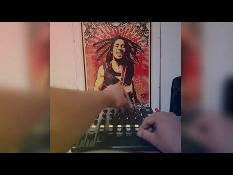 Bob Marley and The Wailers - Them Belly Full - Reggae dub mix on Akai Midimix