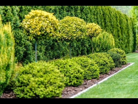 Zobacz filmy, WK GARDEN Usługi Ogrodnicze Krzysztof Wróblewski, Szczecin