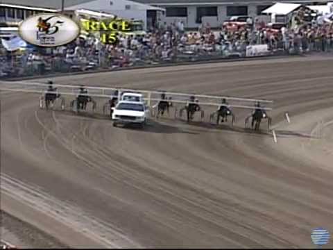 2010 Little Brown Jug 3rd Elim - theharnessedge.com