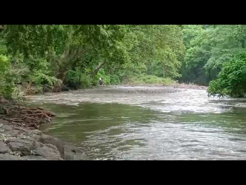 WhatsApp Video 2022 07 24 at 6 45 54 PM 1