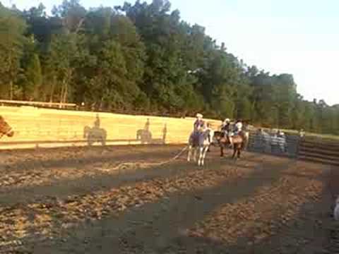 El Mayo echando piales parte 2