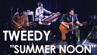 Tweedy perform Summer Noon (Live on Sound Opinions)