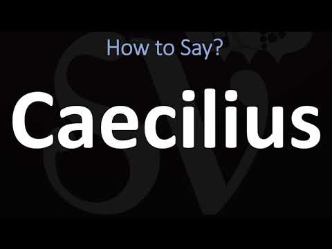 How to Pronounce Caecilius? (CORRECTLY)