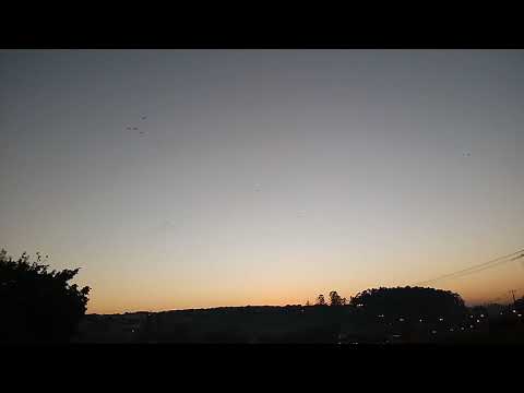 O amanhecer dos pássaros