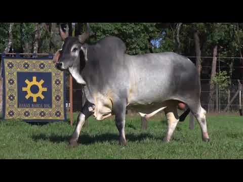 MARCA SOL VULCANO - HQB 6864