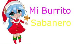 Mi Burrito Sabanero REMIX OFFICIAL (aventura sin color)