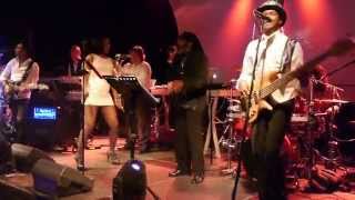 FREAKOUT 6 COVER BAND