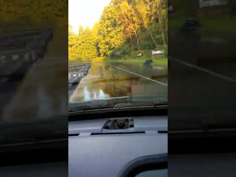 VIII Power Stage Bednary 2017 QVADRAT RACING TEAM FIAT PUNTO