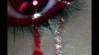 كلمات اغنية الحلوه والمره الوسمي