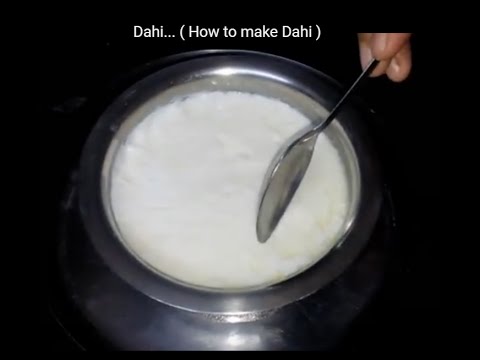 Dahi |  How to make Dahi/Curd at Home | Very Simple & Easy to make |