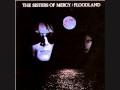 The Sisters Of Mercy - Dominion/Mother Russia ...