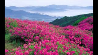 Vangelis - Memories of Blue - 1996