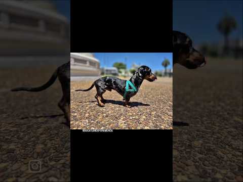 Hola Artigas!!! #motorhome #viajeros #ducateandoporamerica #viajar #uruguay🇺🇾 #timonchelo