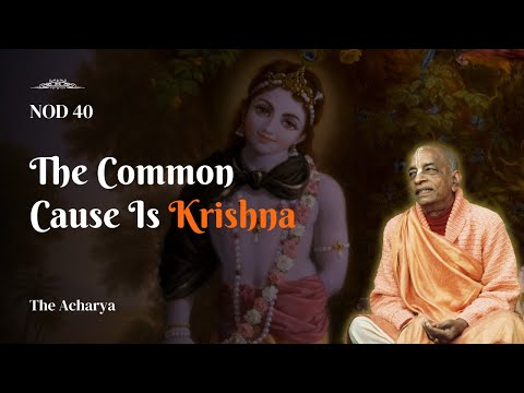 The Common Cause is Krishna | Srila Prabhupada | NOD 40