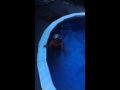 Zara S Swimming Instruction Video