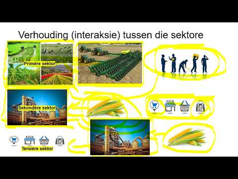 GR 9 EBW HF4 DIE SEKTORE