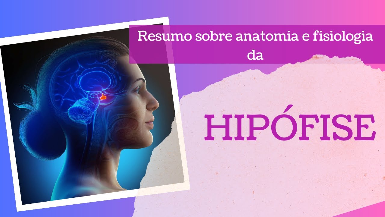 Anatomia e Fisiologia da hipófise (Resumo)