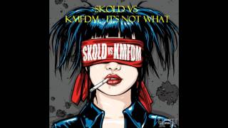 Skold vs KMFDM - It's not what