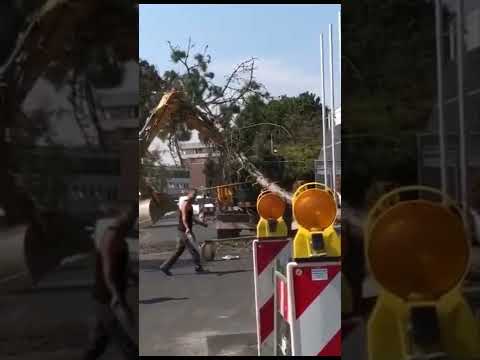 🌳🌲🌳 Tree felling goes wrong. Tree slashes down the streetlight. Düsseldorf's dumbest lumberjacks
