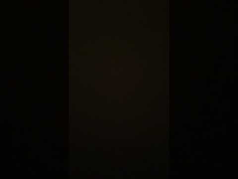 Spring 2019 Bass: Ain-a That Good News