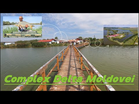 „Descoperind Complexul Delta Moldovei jd IASI 🌿 | Peisaj Magnific și 200+ Specii de Animale”🐦🐢