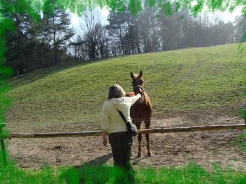 cesta rájem.wmv
