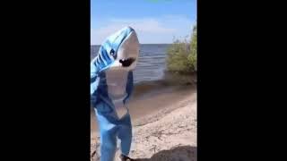 Thomas Azier - Sirens of the Citylight Singing To Dancing Shark Wow