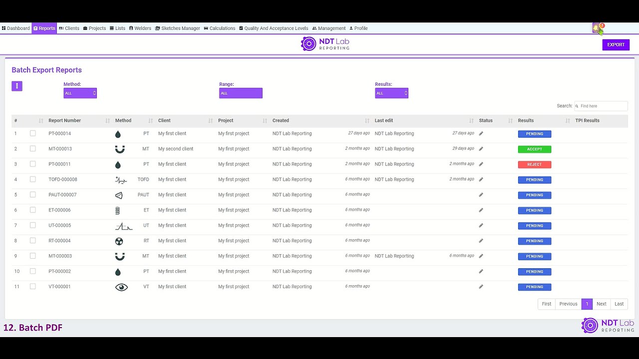 Batch PDF in NDT Lab Reporting