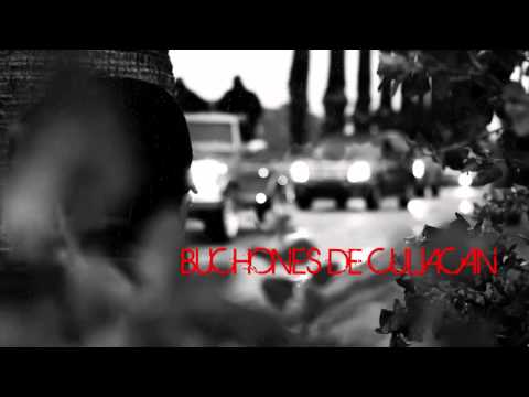 Los Buchones de Culiacan   Comando Suicida Del Mayo Video Oficial M A