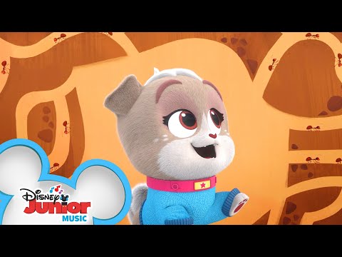 アリ？  | ミュージックビデオ｜パピー・ドッグ・パルズ｜ディズニー・ジュニア (Ants ?  | Music Video | Puppy Dog Pals | Disney Junior)