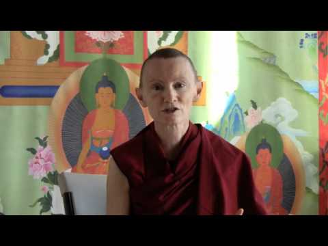 11-10-10 Excitement Over Mirror Neurons - BBCorner