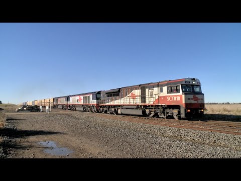 5MP9 SCT Freight Train With Boxcars & Containers (22/7/2022) - PoathTV Australian Railways Vlogs