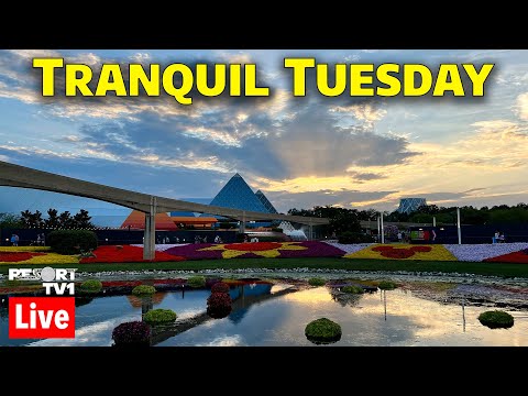 🔴Live: Tranquil Tuesday at Epcot - Walt Disney World Live Stream - 6-20-23