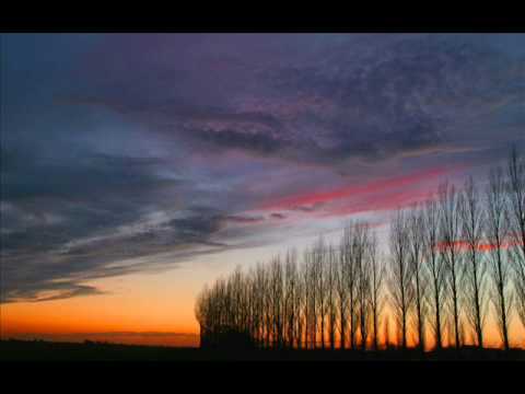 DJ Sakin - Protect Your Mind (Van Bellen Mix)