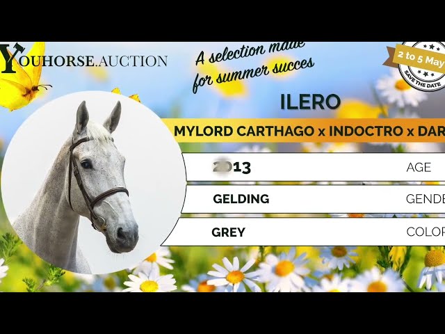 Ilero showvideo