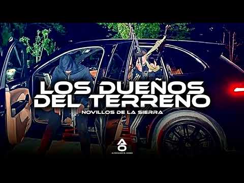 Novillos De La Sierra - Los Dueños Del Terreno (Corridos 2025)