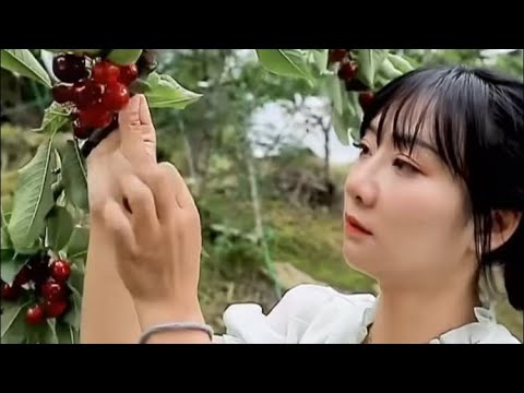 Nature and Wildlife - Life In Jungle Find Fruits are Food - cooking  | Survival Eating