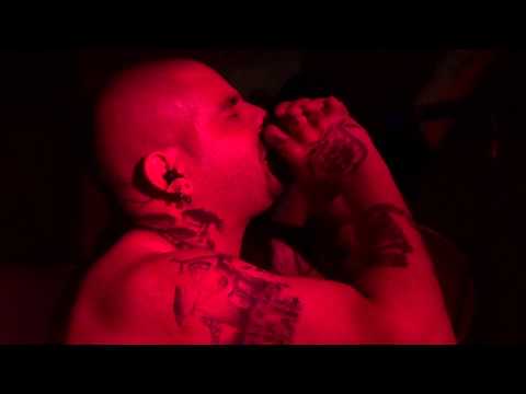 Marmotas en el bar - Casa animal, diciembre 2016