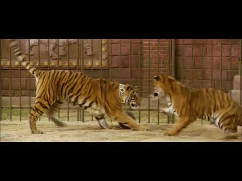 Deux frères - Extrait 2