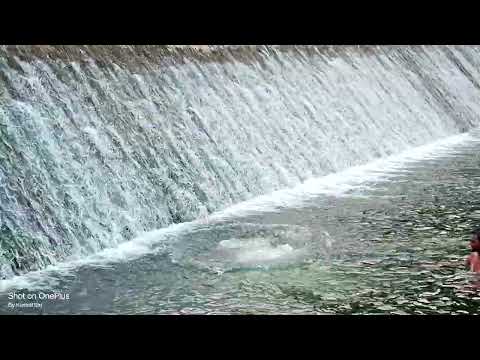 JAYPAL SINGH RATHORE