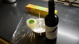 Fruit Fly Trap (Best) - Red Wine/Fruit Slices