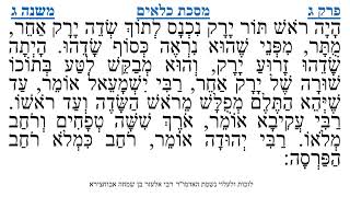 מסכת כלאים פרק ג משנה ג