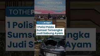 Polisi Polda Sumsel Jadi Tersangka Judi Sabung Ayam, Kenal Peltu Lubis & Kopka Basarsyah sejak 2018