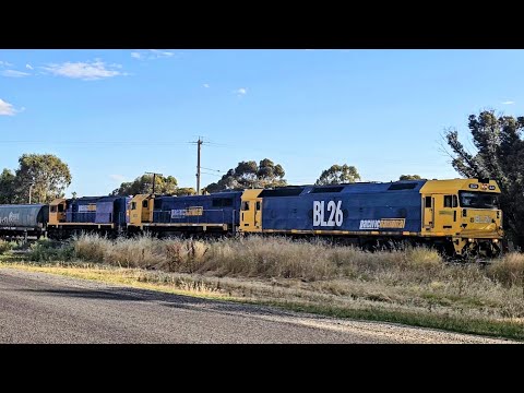 7737V PN down empty grainy (BL X XR, 42H), North Shore to Murtoa, 1920, 7/1/26, Murtoa VIC 