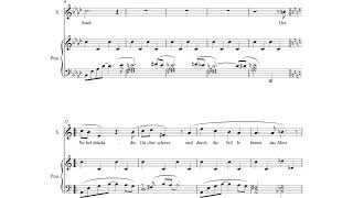 Spiros Deligiannopoulos - Theodor Storm: Die Stadt 