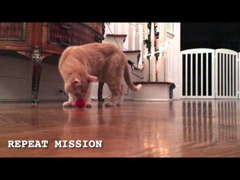 Mission: IMPAWSSIBLE