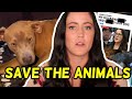 JENELLE EVANS NEEDS TO GIVE UP THESE PUPPIES! She Got MORE PETS!