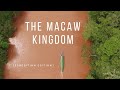 The Macaw Kingdom Documentary Expedition Edition HD
